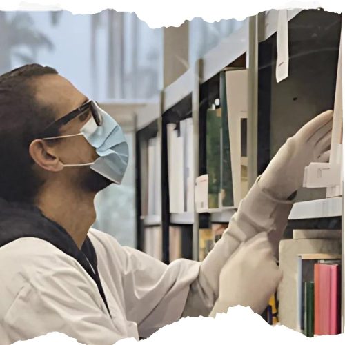 metodologia- metodologia-